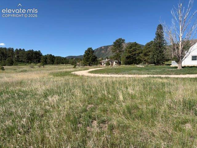 3615 Summertime CT, Monument, CO 80132