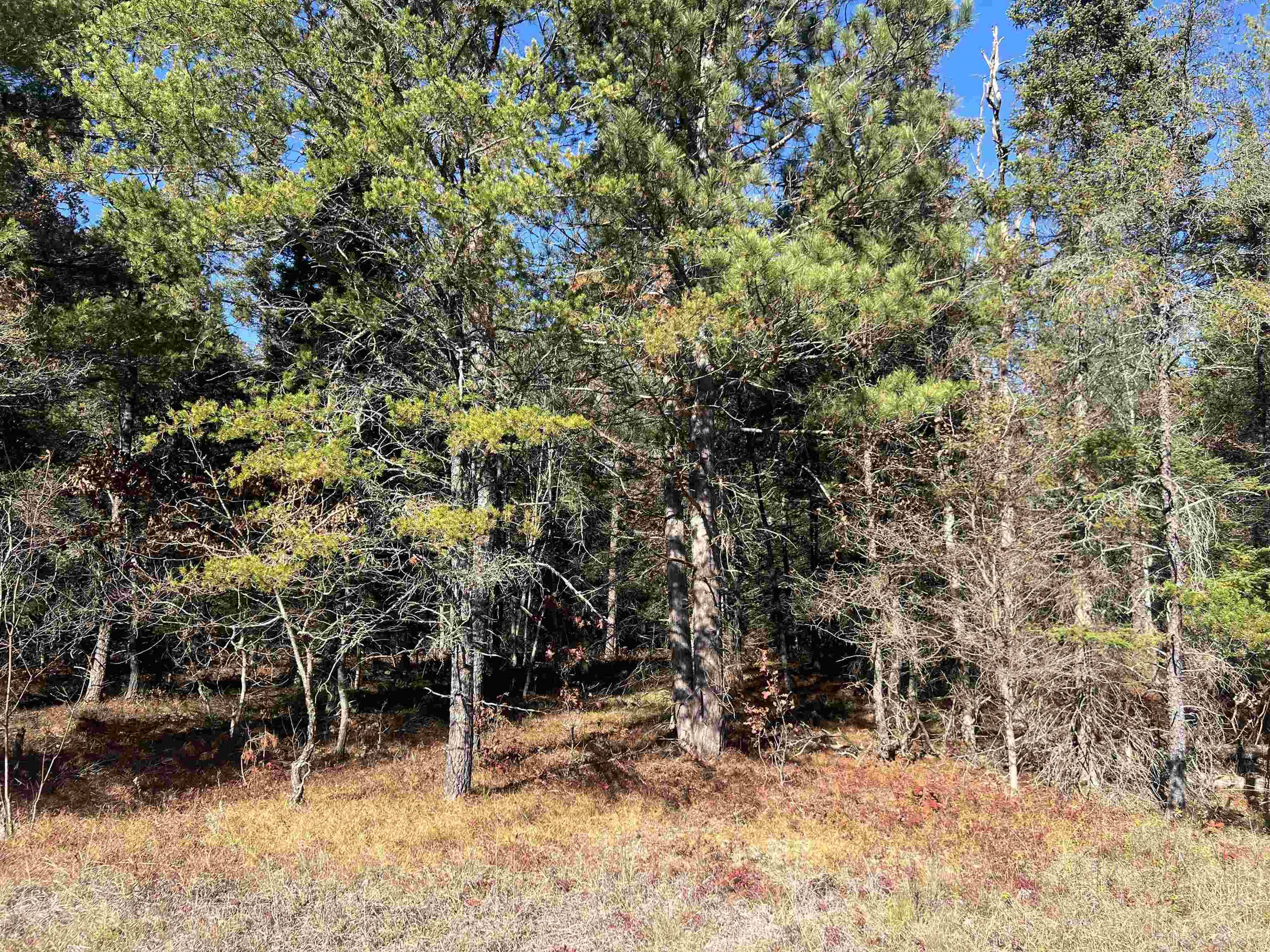 00 E North Down River RD, Lovells Twp, MI 49738