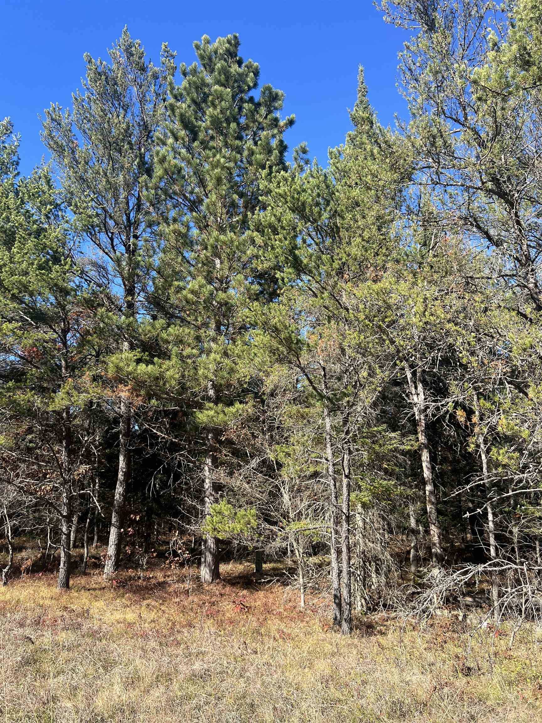 00 E North Down River RD, Lovells Twp, MI 49738