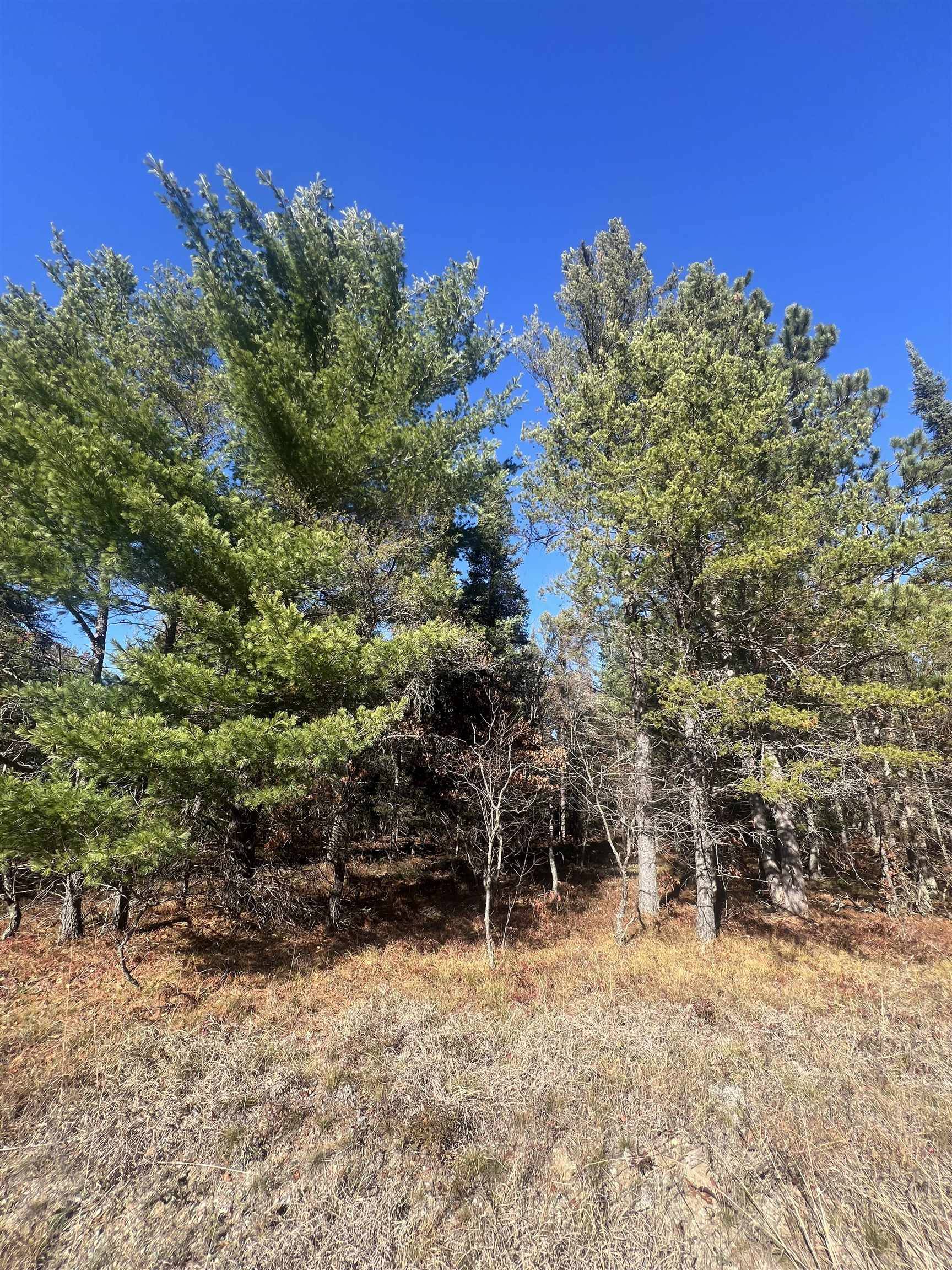 00 E North Down River RD, Lovells Twp, MI 49738