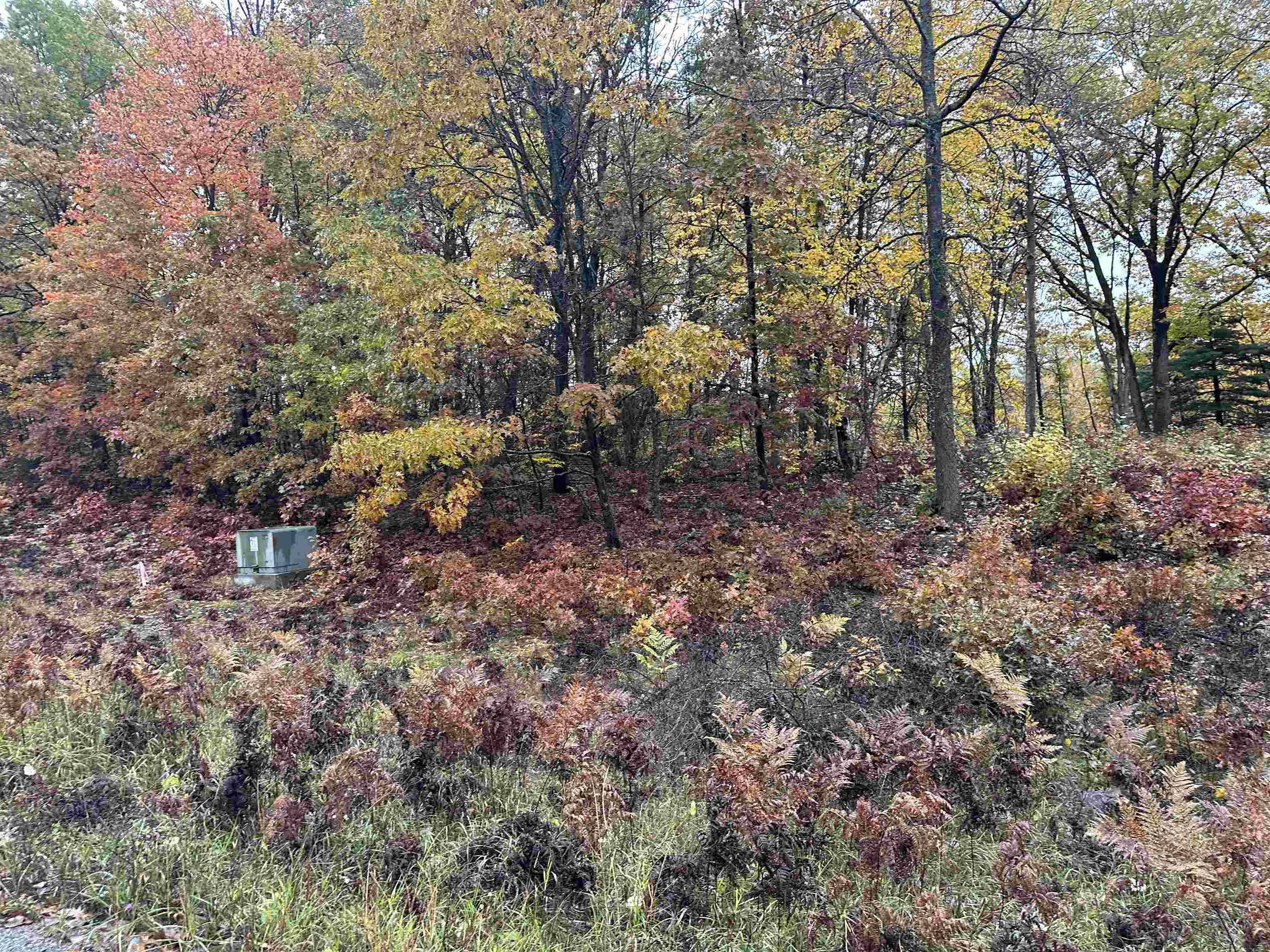 Lot #5 N Circle E, Surrey Twp, MI 48622