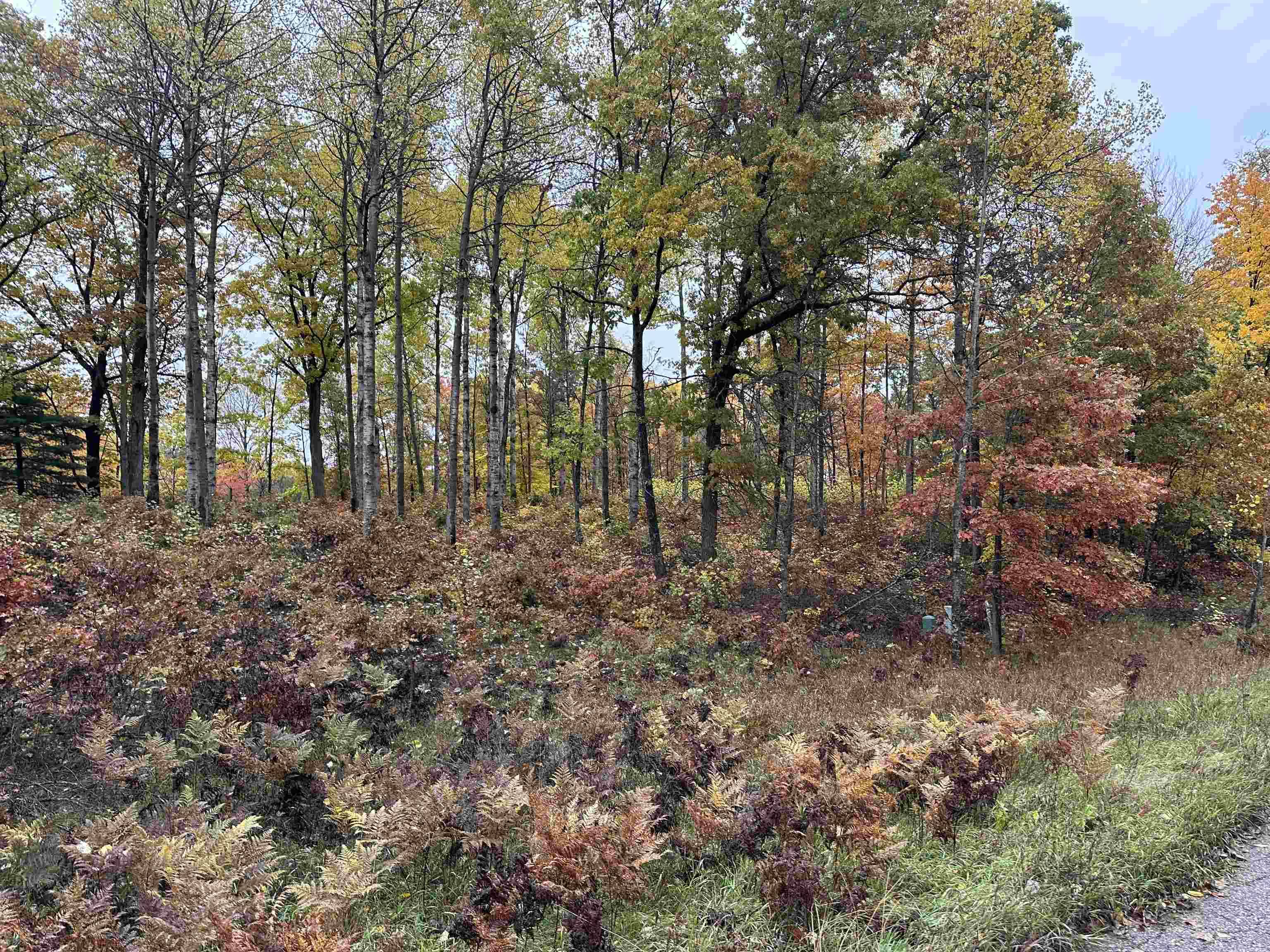 Lot #5 N Circle E, Surrey Twp, MI 48622