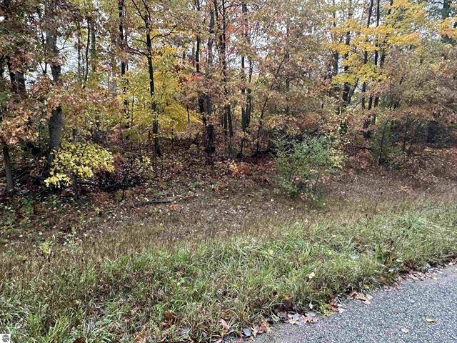Lot #6 N Circle E, Surrey Twp, MI 48622