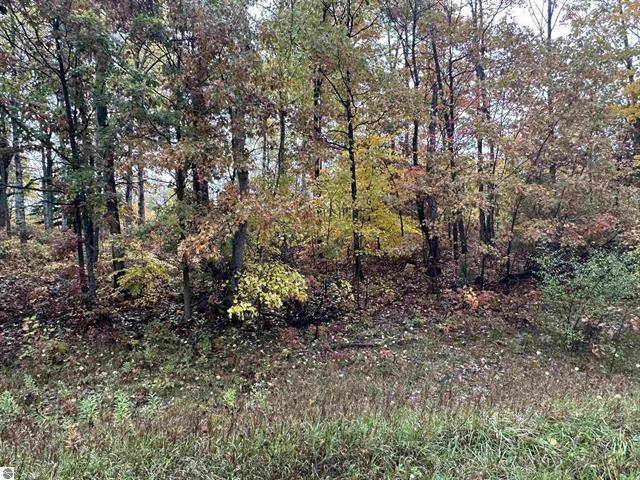 Lot #6 N Circle E, Surrey Twp, MI 48622