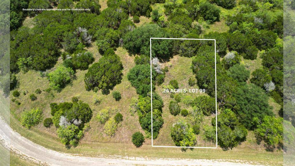 44099 Cedar Hill Drive, Whitney, TX 76692