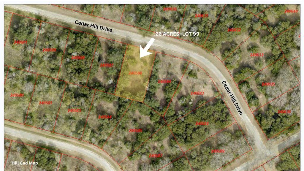 44099 Cedar Hill Drive, Whitney, TX 76692
