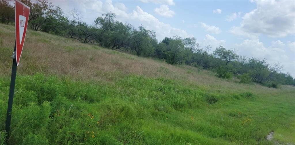 Lot 118 Palmito Rnch Road, Corsicana, TX 75110