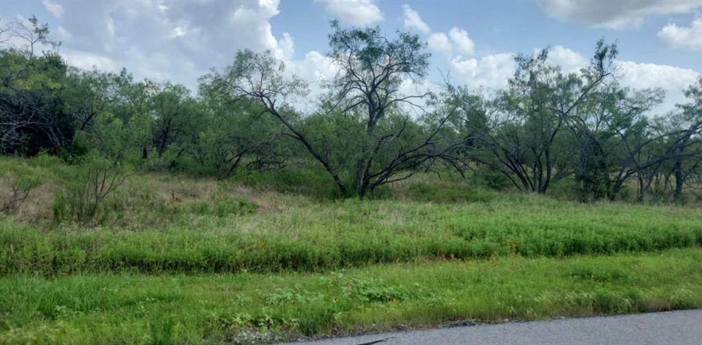 Lot 118 Palmito Rnch Road, Corsicana, TX 75110