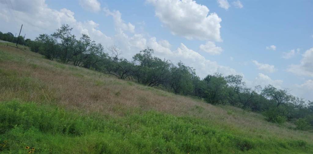 Lot 118 Palmito Rnch Road, Corsicana, TX 75110