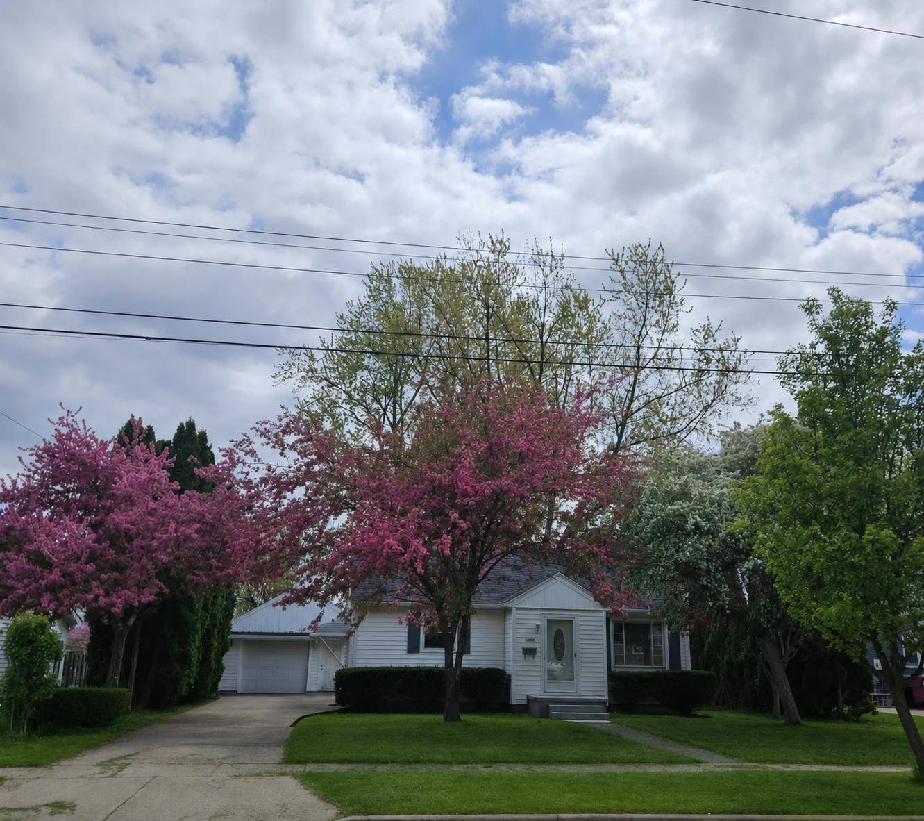 1427 W King ST, Owosso, MI 48867