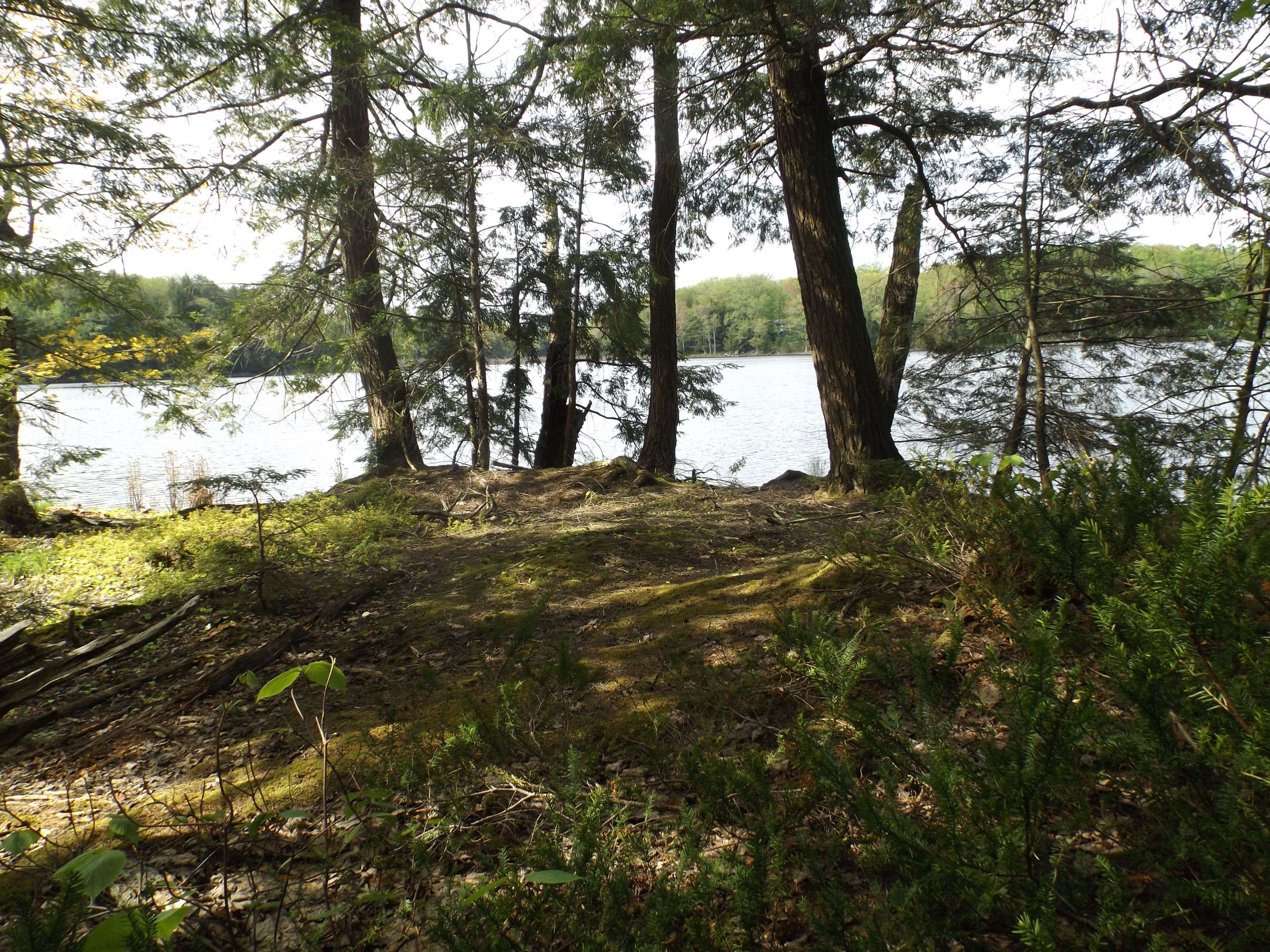 1108 Buckeye RD, Muskoka Lakes, ON P0C 1H0