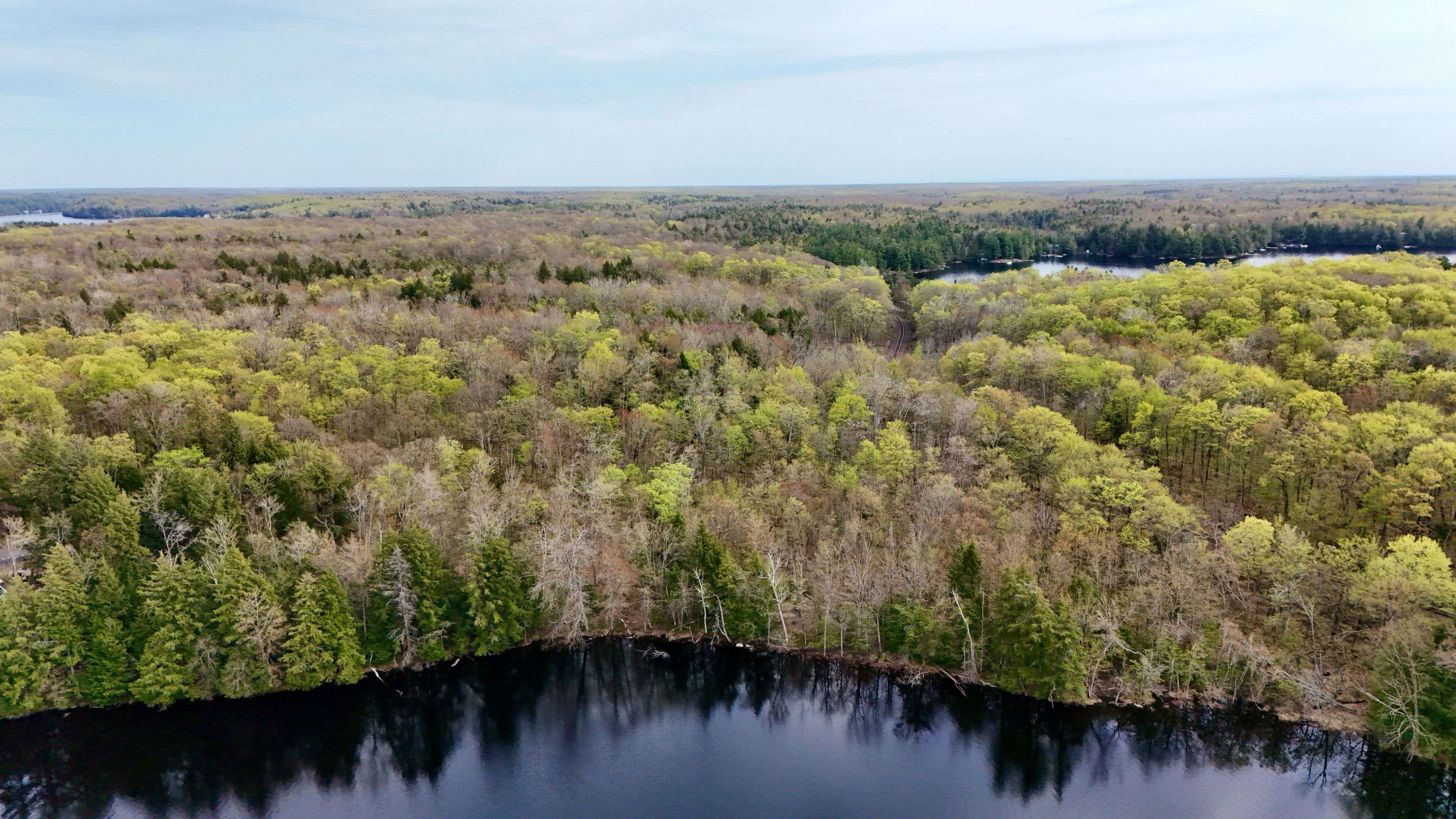 1108 Buckeye RD, Muskoka Lakes, ON P0C 1H0