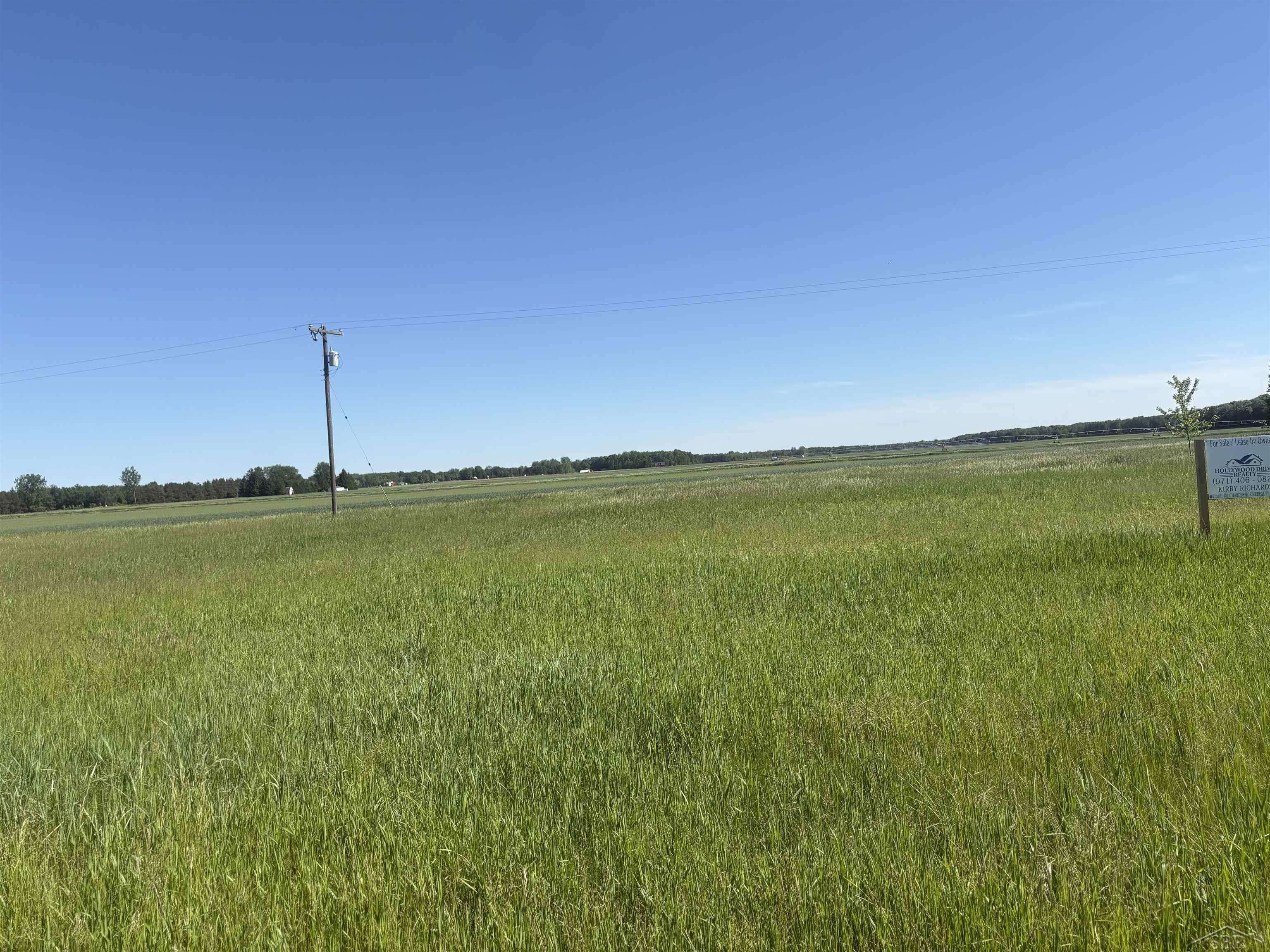 0 Swan Creek RD, Fremont Twp, MI 48626