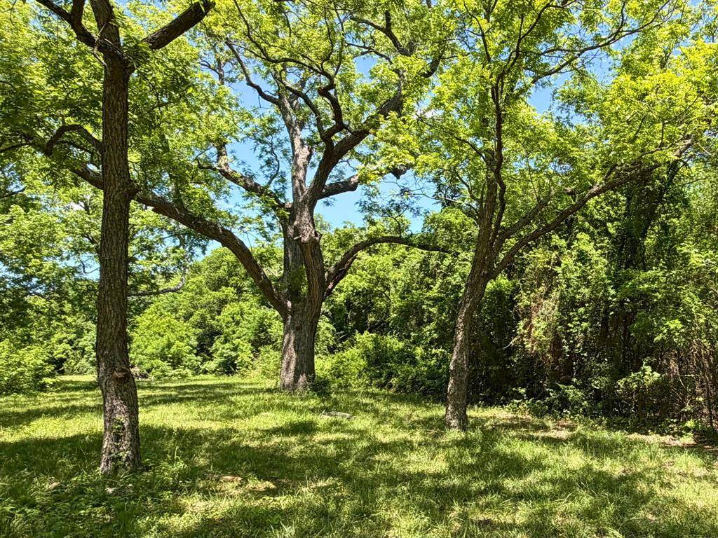 10180 County Road 437, Princeton, TX 75407