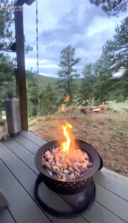 226 Hall RD, Bailey, CO 80421