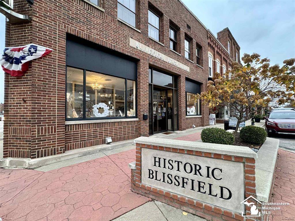 101 S Lane ST, Blissfield, MI 49228