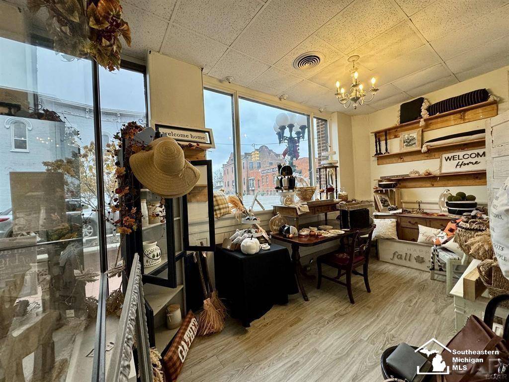 101 S Lane ST, Blissfield, MI 49228