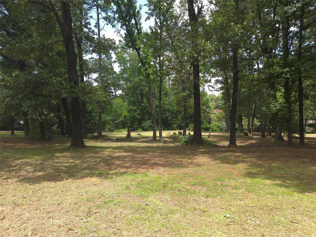 208 Mountain View Drive, Daingerfield, TX 75638