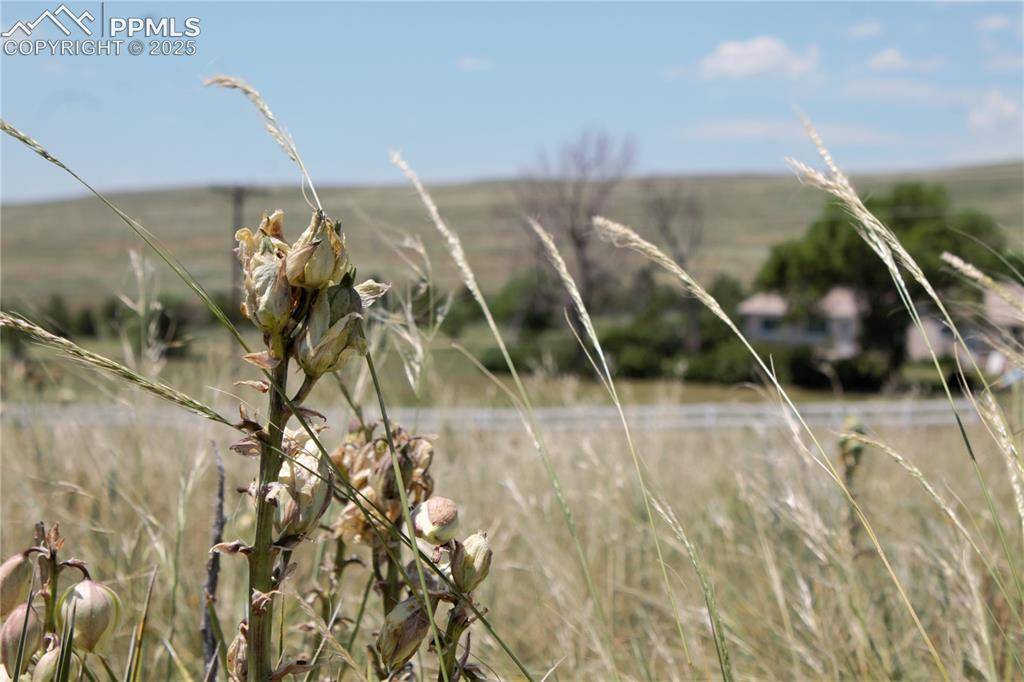 Tract 17 Sweet RD, Calhan, CO 80808