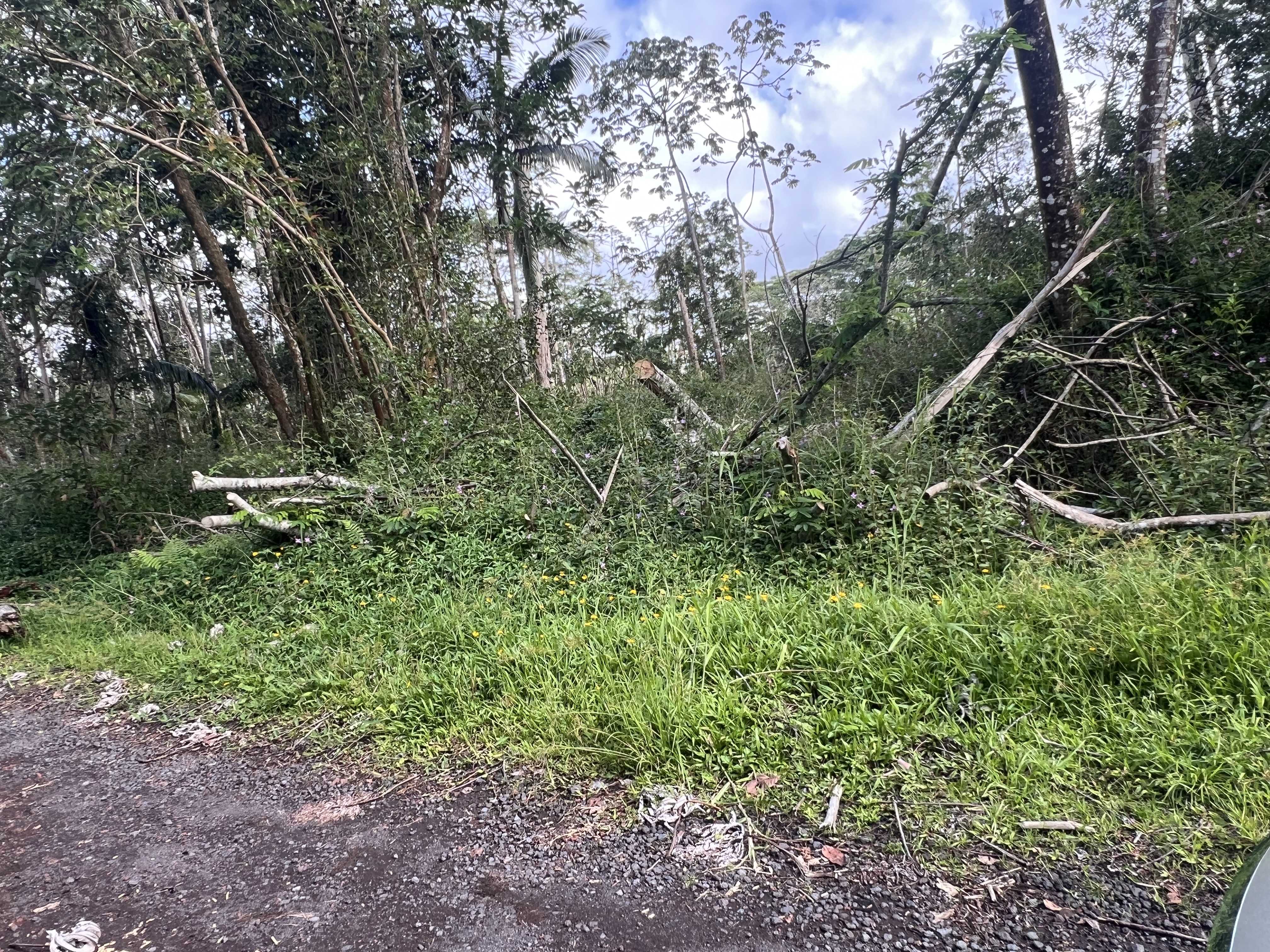 MOLOKAI RD, Pahoa, HI 96778