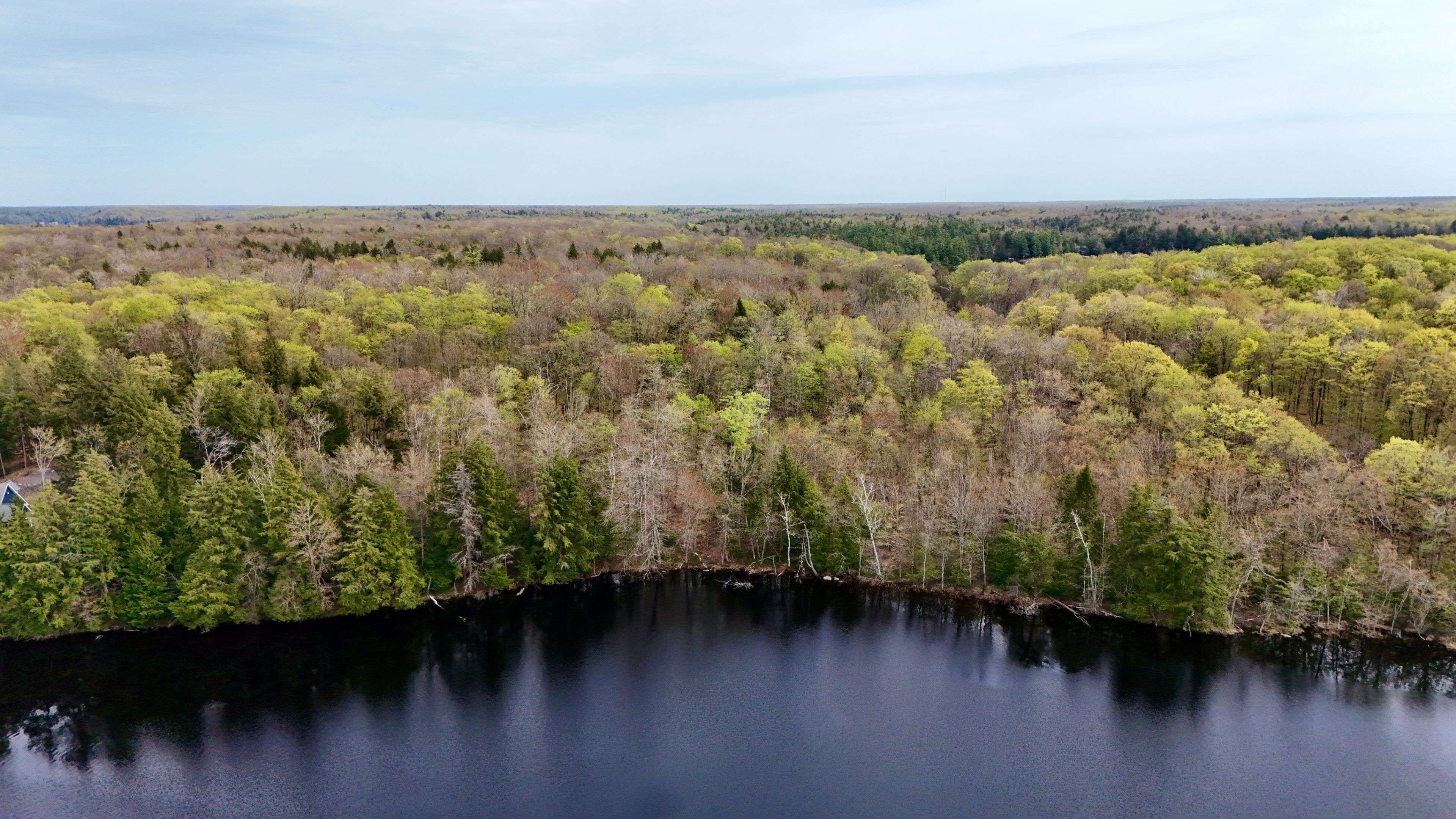 Severed Buckeye RD, Muskoka Lakes, ON P0C 1H0