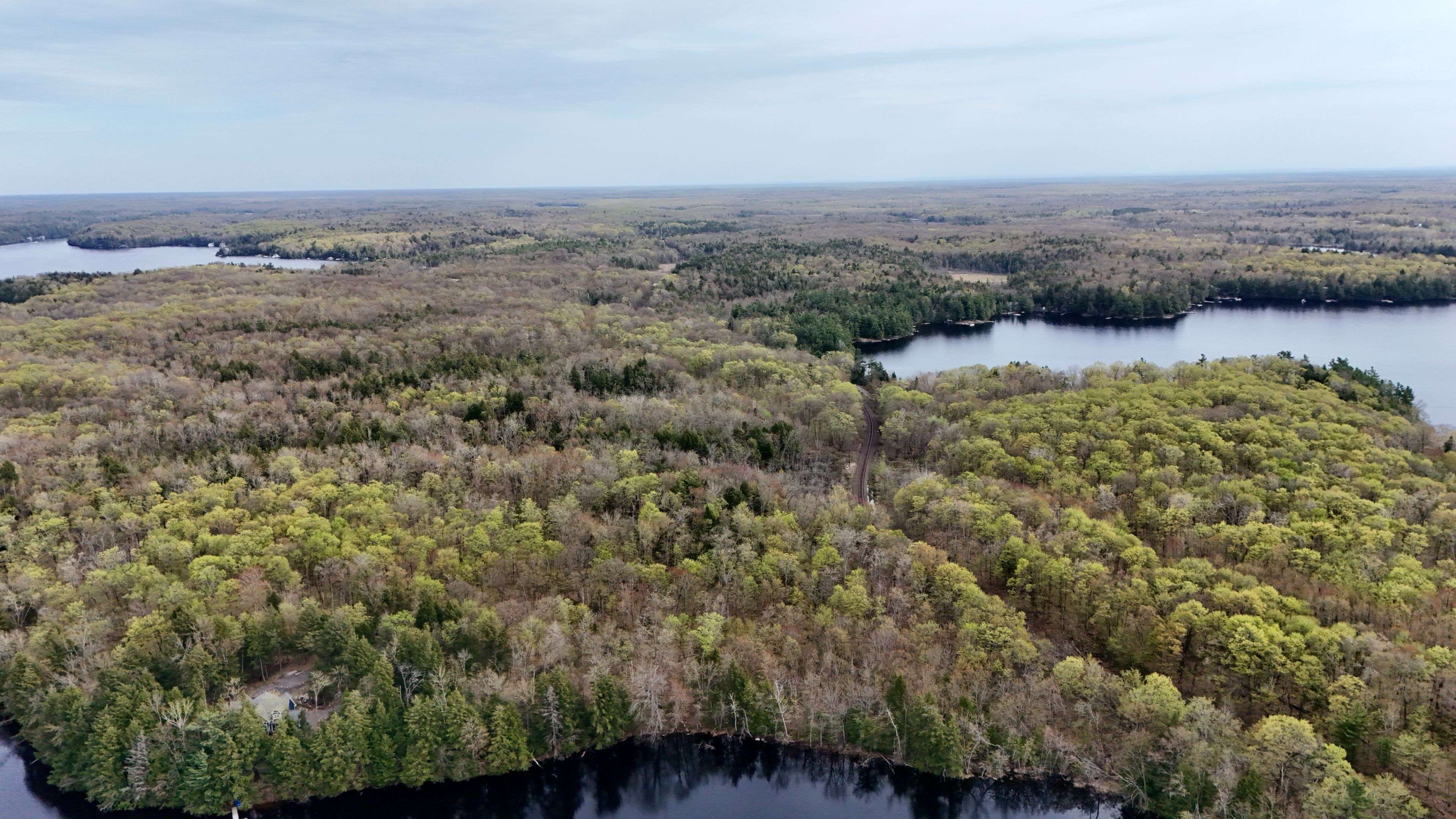 Severed Buckeye RD, Muskoka Lakes, ON P0C 1H0