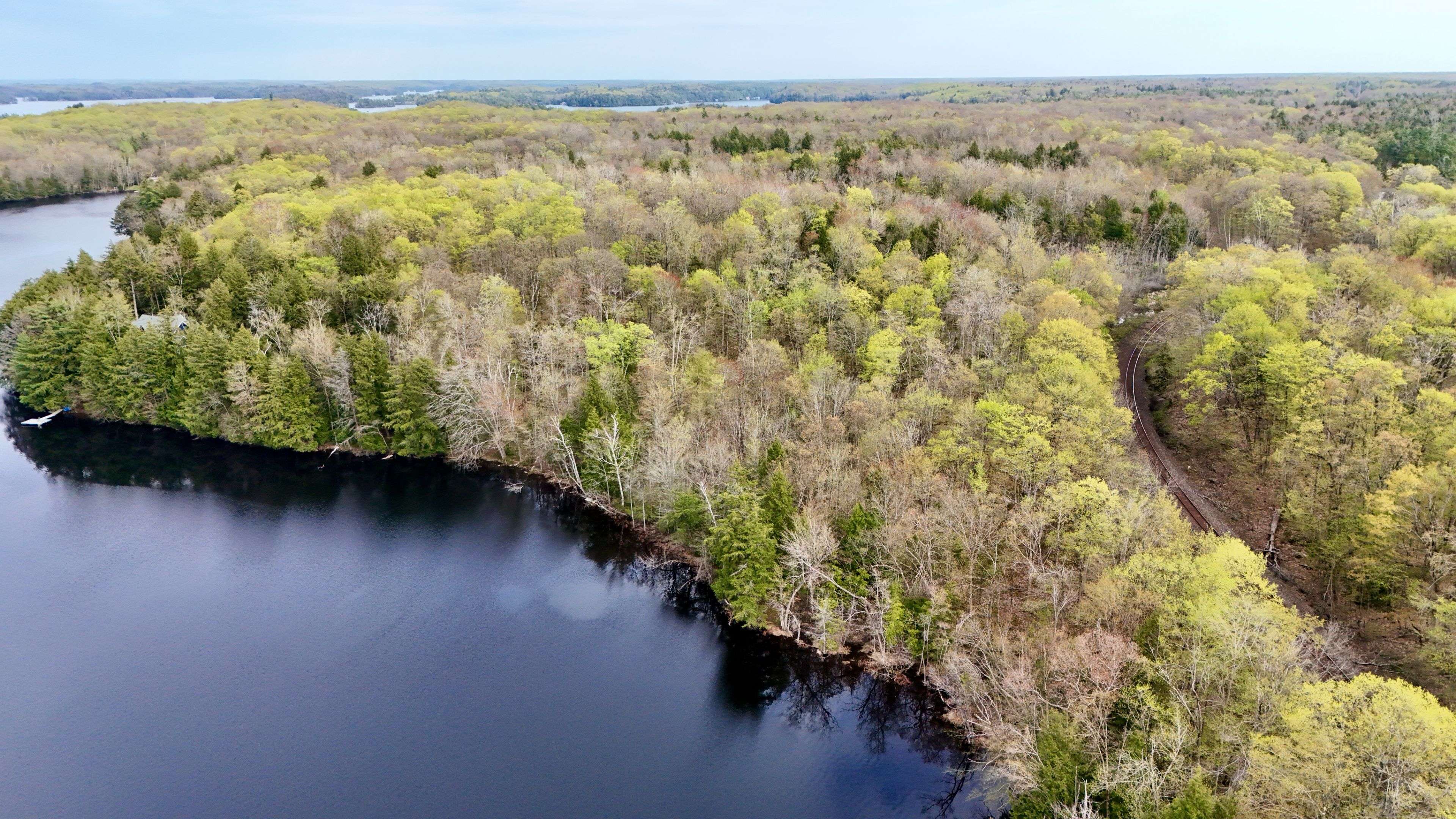 Severed Buckeye RD, Muskoka Lakes, ON P0C 1H0