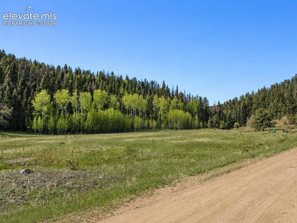 Lot 1 County Road 358, Westcliffe, CO 81252