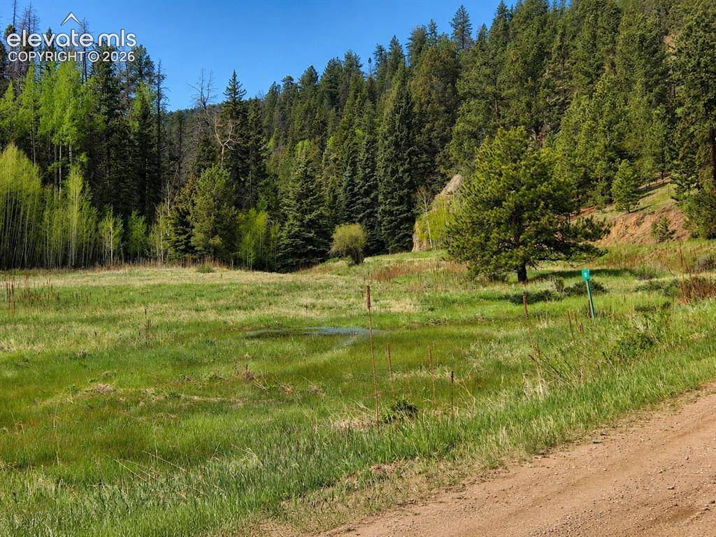 Lot 1 County Road 358, Westcliffe, CO 81252