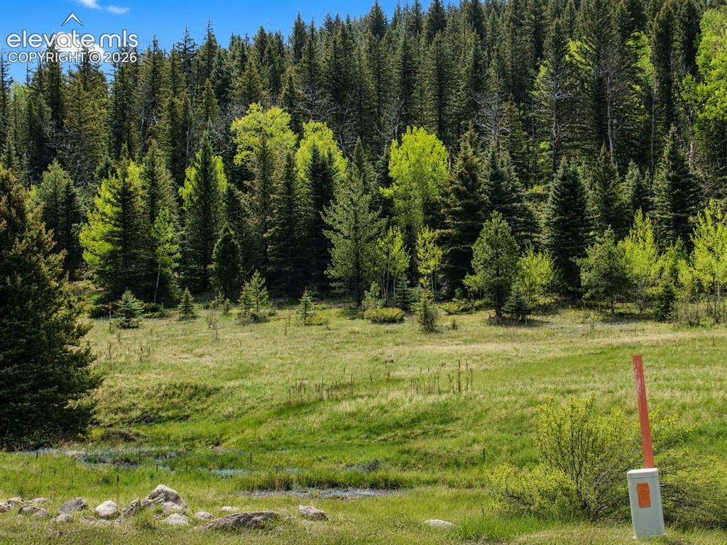 Lot 1 County Road 358, Westcliffe, CO 81252