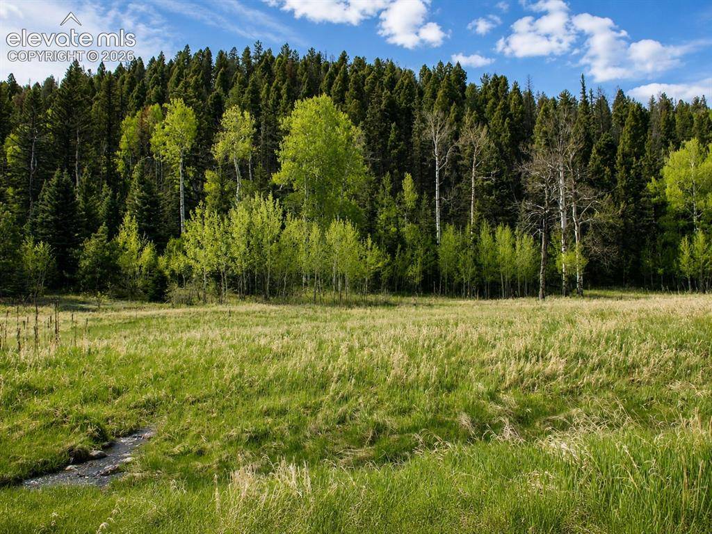 Lot 1 County Road 358, Westcliffe, CO 81252