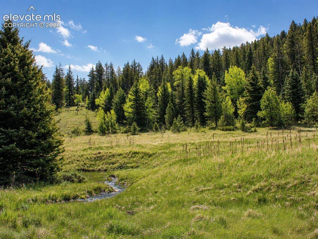 Lot 1 County Road 358, Westcliffe, CO 81252