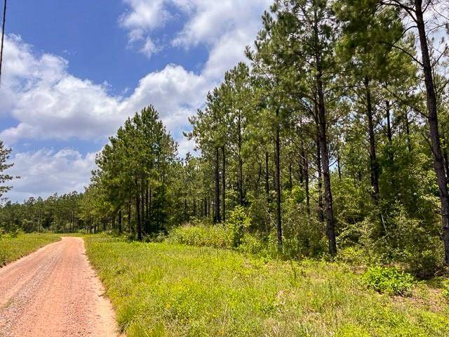 0000 County Road 1325, Woodville, TX 75979