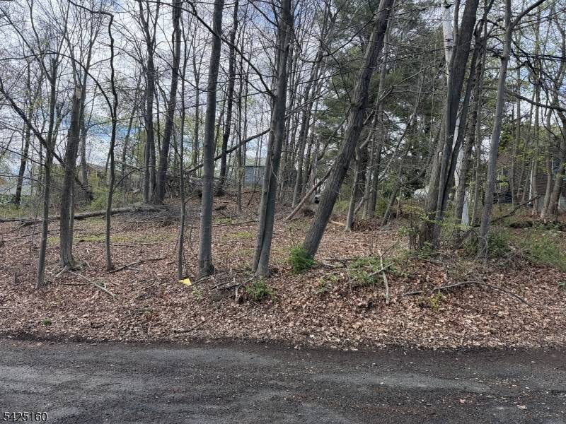 3 Neptune Rd, West Milford Twp., NJ 07421