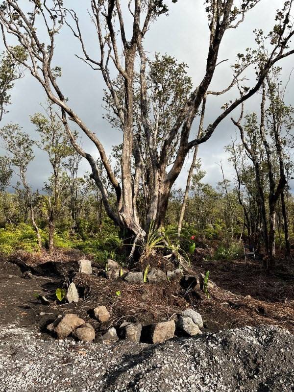 11-2545 KALEPONI DR, Volcano, HI 96785