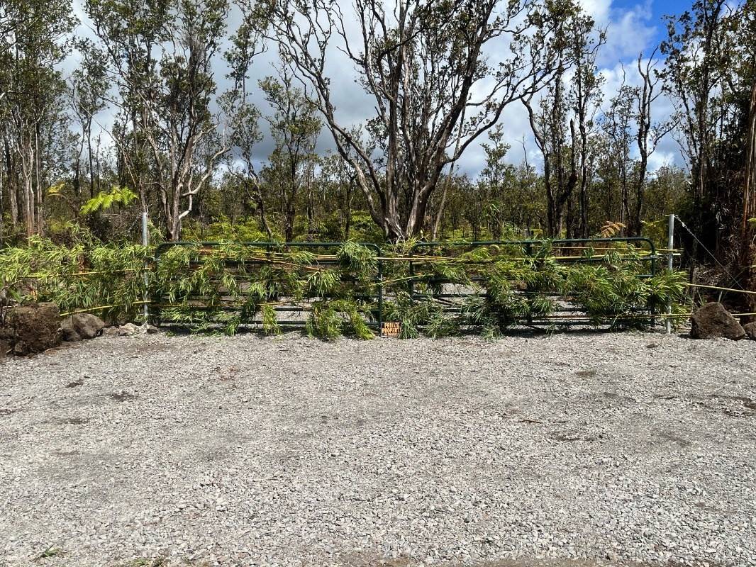 11-2545 KALEPONI DR, Volcano, HI 96785