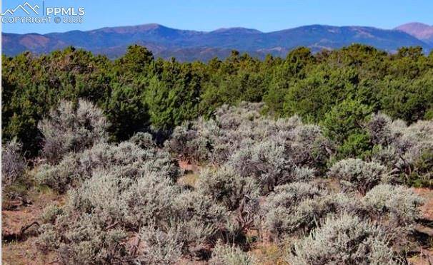 Lot 8 N Melby Ranch RD, San Luis, CO 81152