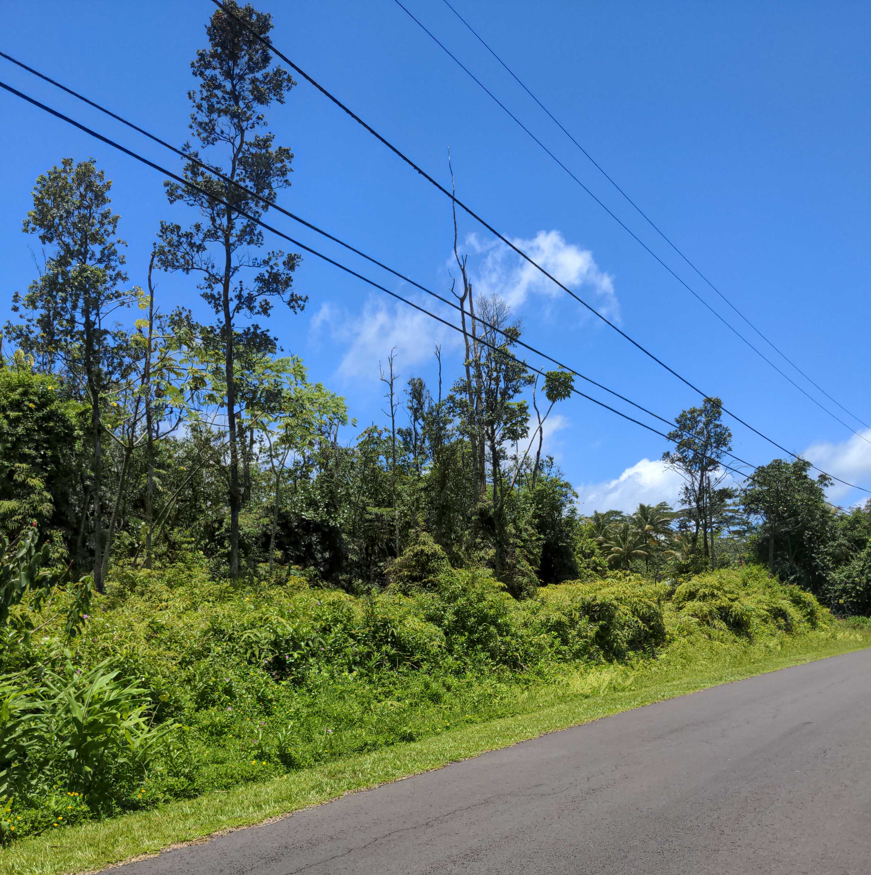 ALAPAI ST, Pahoa, HI 96778