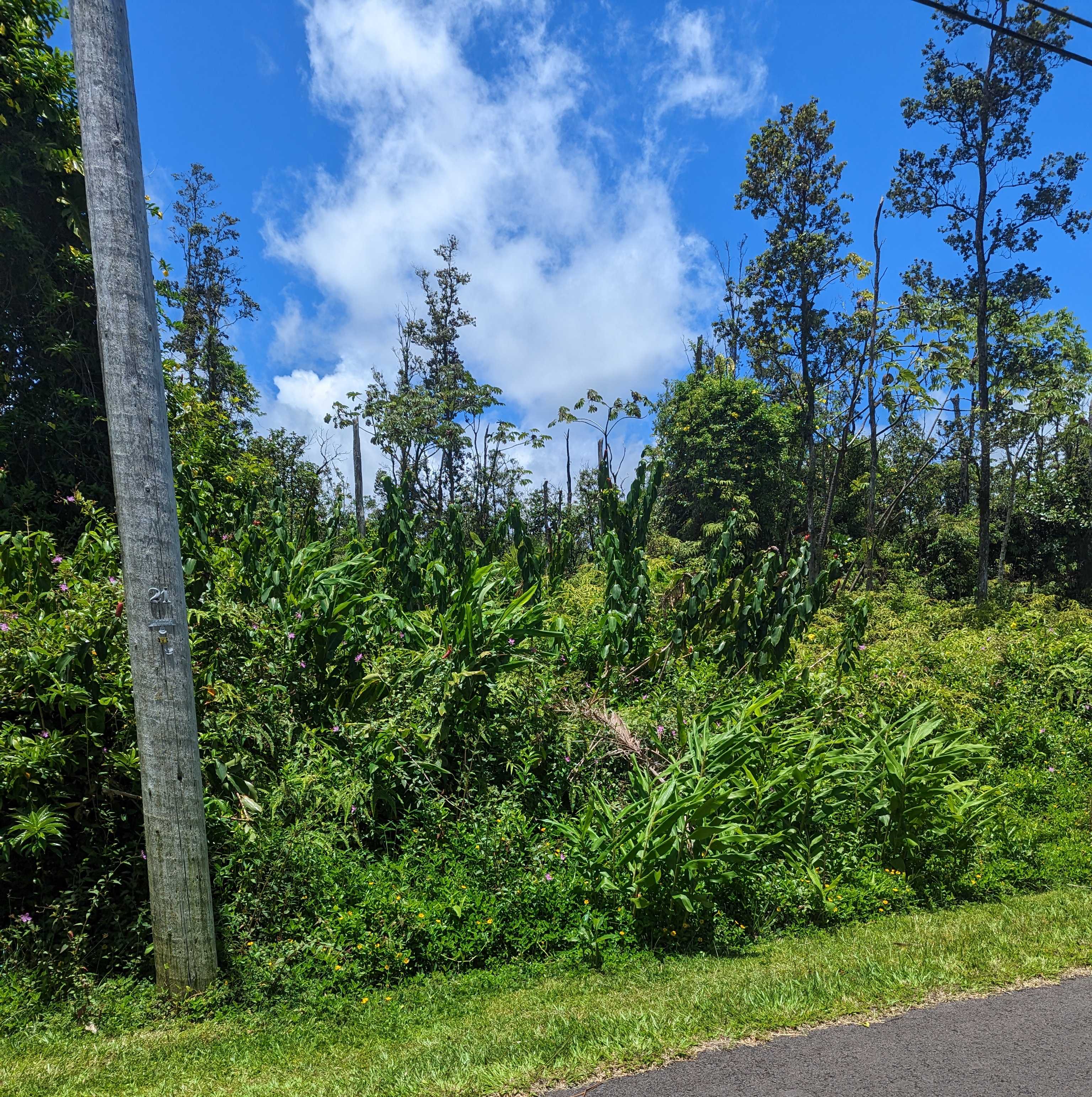 ALAPAI ST, Pahoa, HI 96778