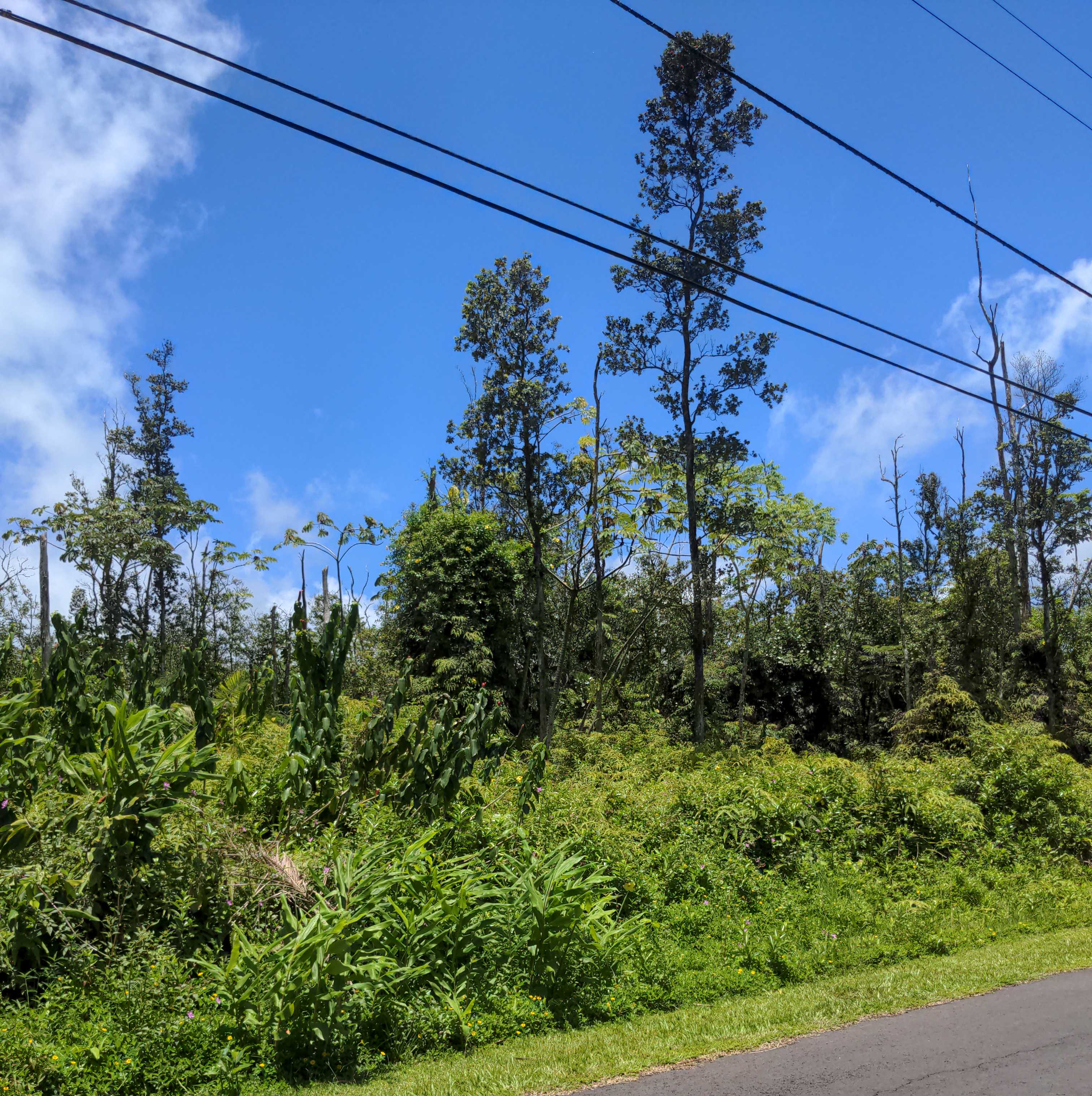 ALAPAI ST, Pahoa, HI 96778