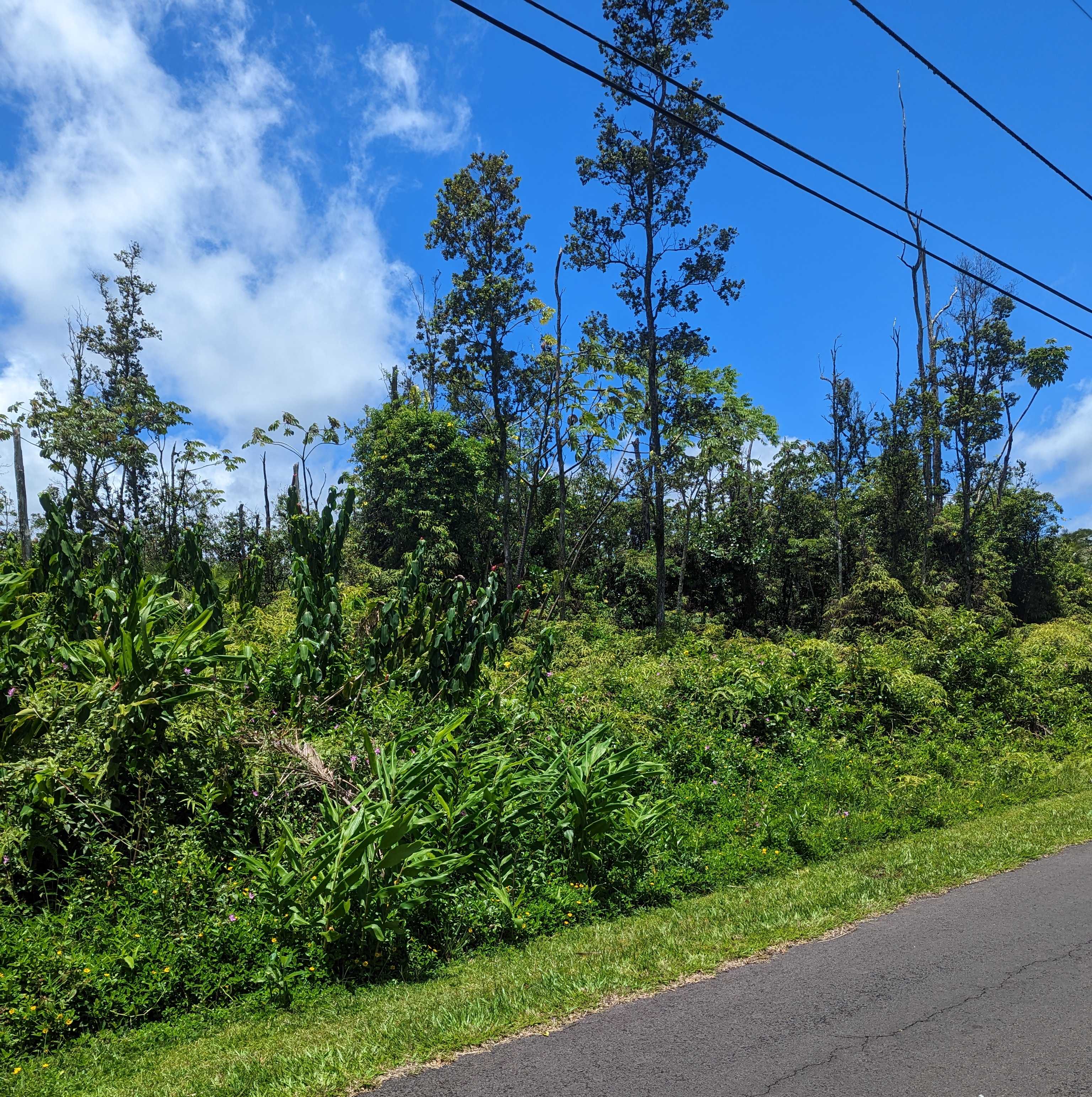 ALAPAI ST, Pahoa, HI 96778