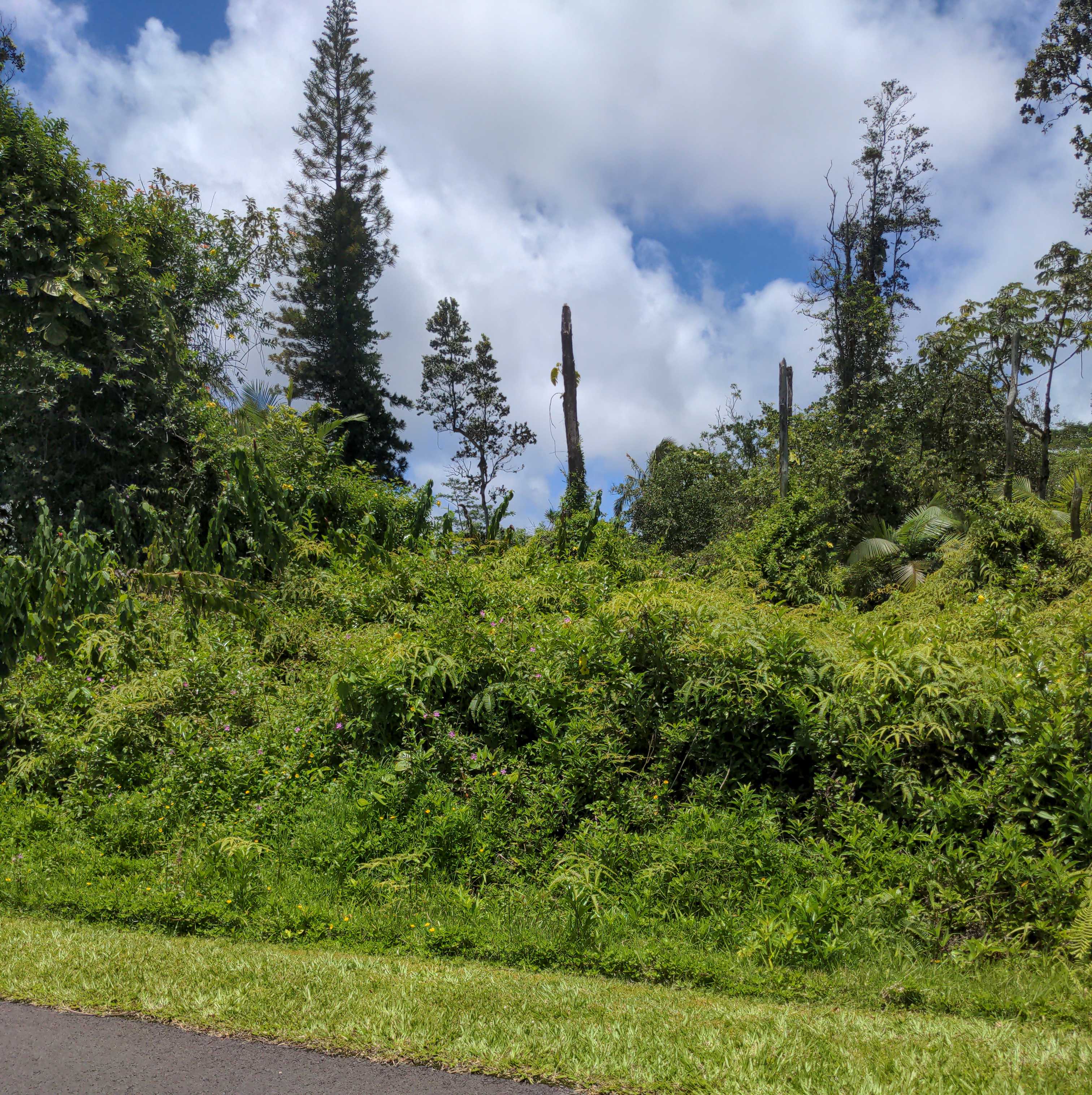 ALAPAI ST, Pahoa, HI 96778