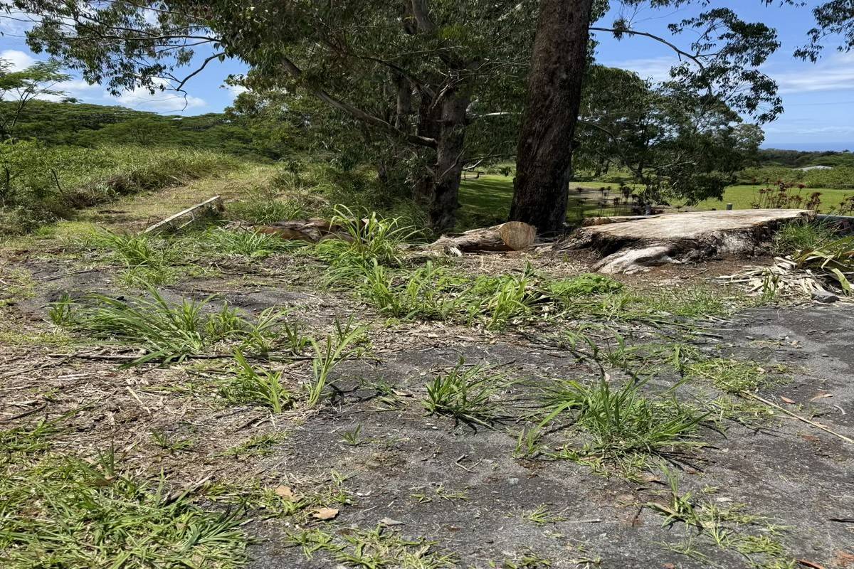 29-2660 KAIWIKI HOMESTEAD RD, Hakalau, HI 96710