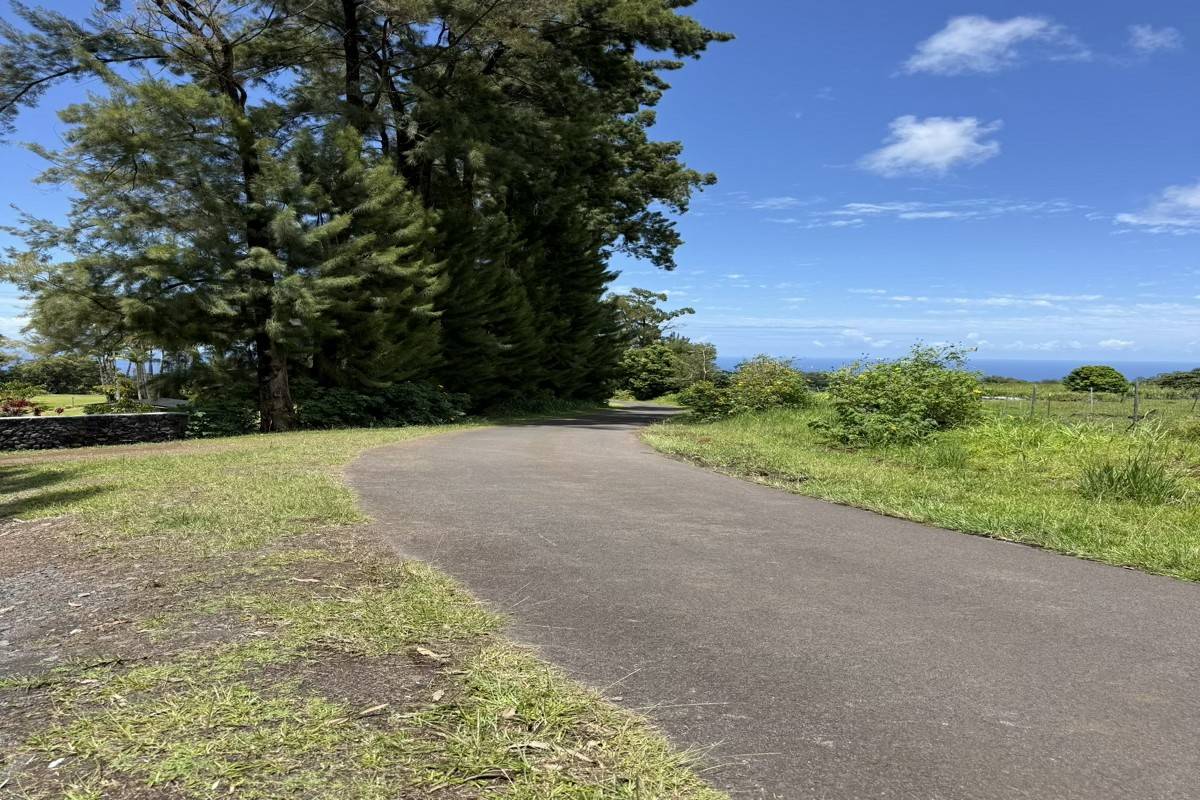 29-2660 KAIWIKI HOMESTEAD RD, Hakalau, HI 96710
