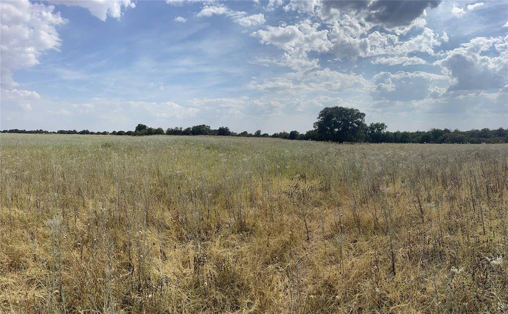 Lot 8 Blue Lacy Lane, Anson, TX 79501