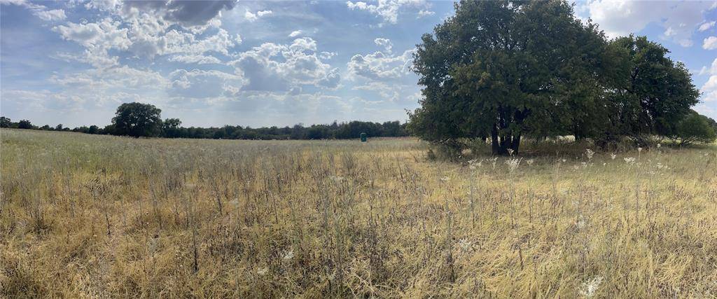 Lot 8 Blue Lacy Lane, Anson, TX 79501