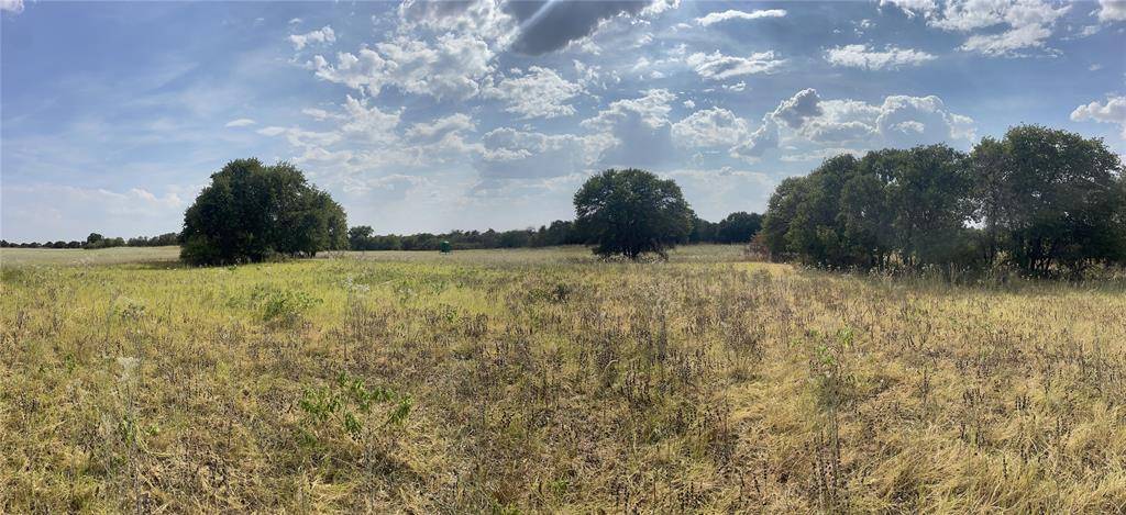 Lot 8 Blue Lacy Lane, Anson, TX 79501