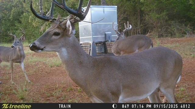 16092 County Road 440, Lindale, TX 75771