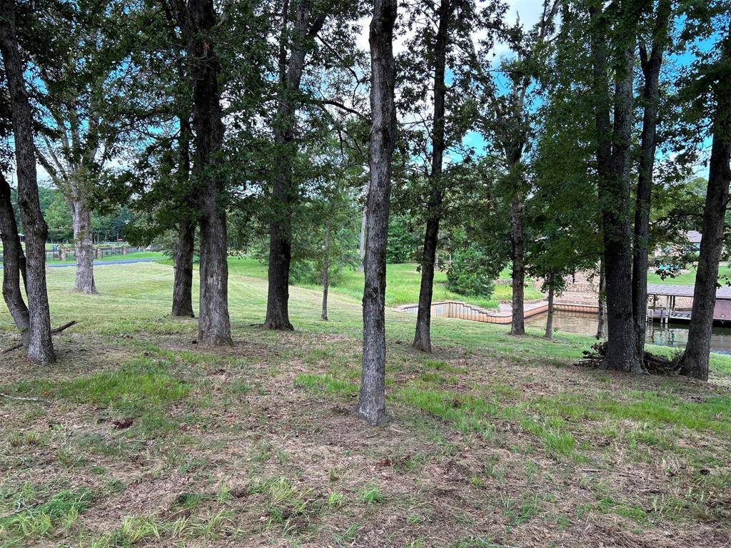 0 Jamison Drive, Chandler, TX 75758