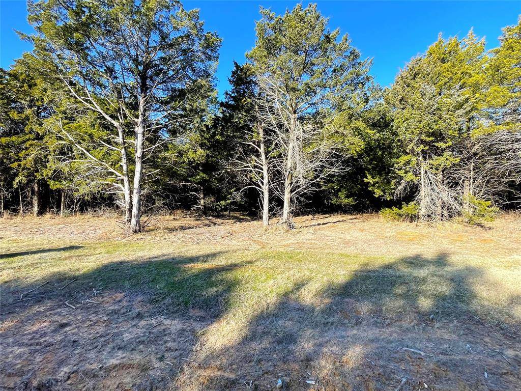 847 Eagle Oaks Drive, Gordonville, TX 76245